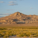 Золотой мустанг как символ в современной игровой литературе