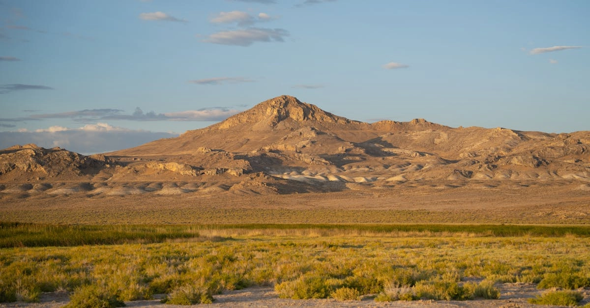Золотой мустанг как символ в современной игровой литературе