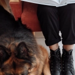 Художественное осмысление программ лояльности в литературе