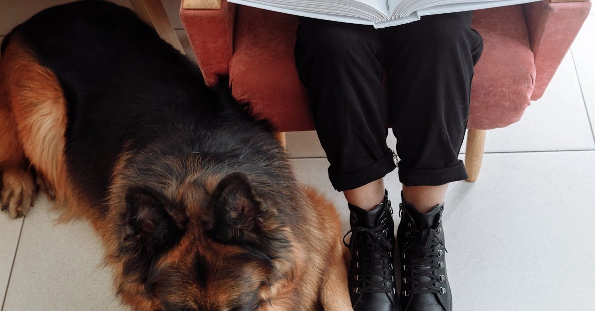 Художественное осмысление программ лояльности в литературе